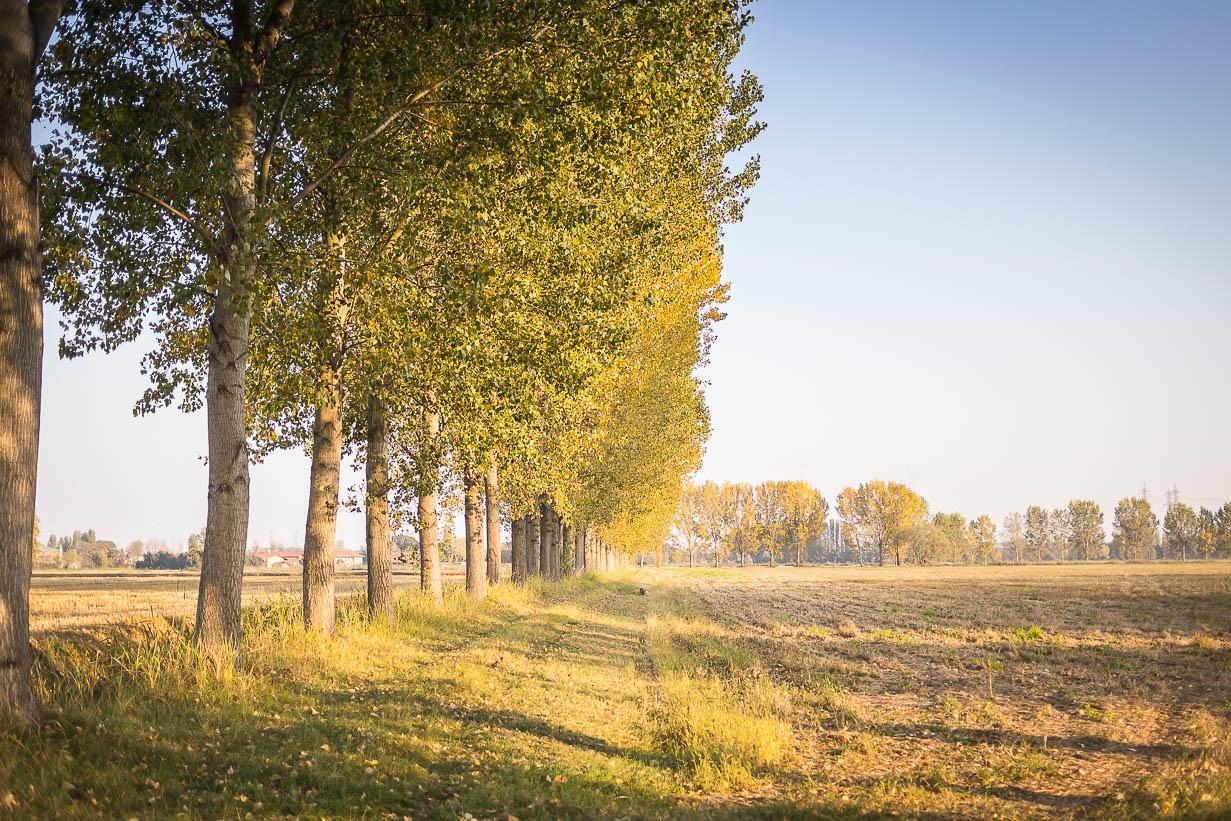 Cascina Gaggioli Villa Milan Bagian luar foto