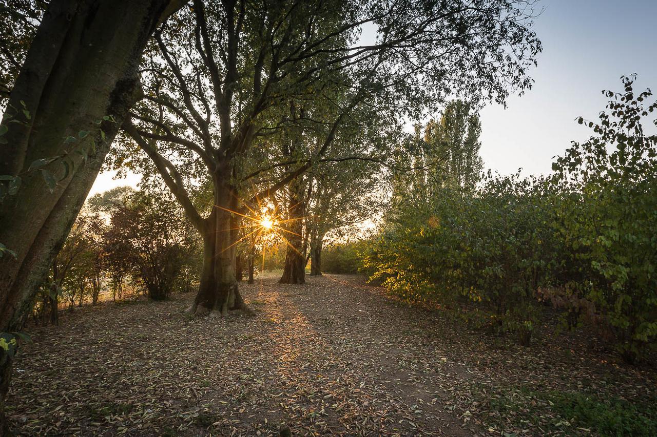 Cascina Gaggioli Villa Milan Bagian luar foto